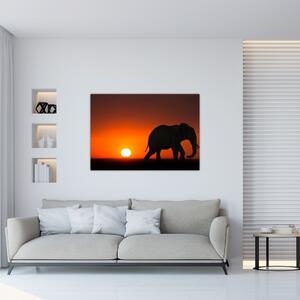 Obraz slona v zapadajúcom slnku (Obraz 60x40cm)