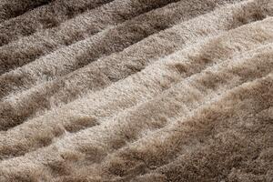 Dywany Łuszczów Kusový koberec Flim 006-B2 brown - 120x160 cm