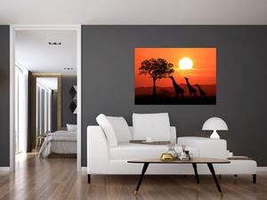 Obraz žirafy pri západe slnka (Obraz 60x40cm)