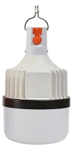 Ecolamp Závesný LED lampáš Bulb, 1x LED 10w