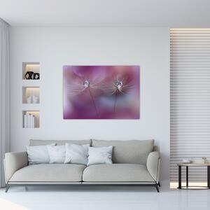 Obraz - kvet s kvapkami vody (Obraz 60x40cm)