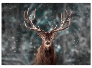 Obraz - jeleň v zime (Obraz 60x40cm)