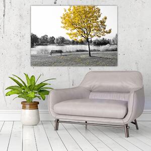 Obraz žltého stromu v prírode (Obraz 60x40cm)