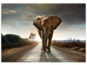 Obraz kráčajúceho slona (Obraz 60x40cm)