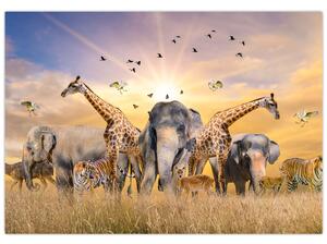 Obraz - safari (Obraz 60x40cm)