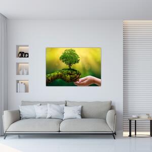 Moderný obraz - príroda (Obraz 60x40cm)