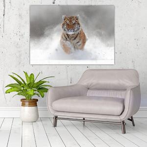 Obraz bežiaceho tigra (Obraz 60x40cm)