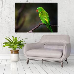 Obraz zeleného papagája (Obraz 60x40cm)
