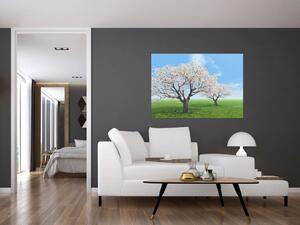 Obraz kvitnúceho stromu na jarné lúke (Obraz 60x40cm)