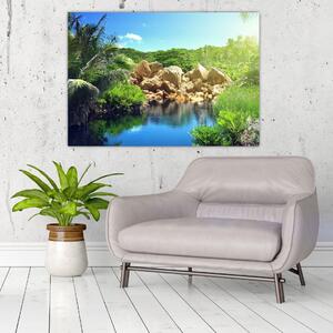 Obraz jazera na Seychelách (Obraz 60x40cm)
