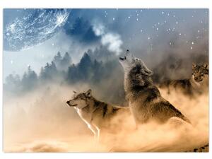 Obraz - vyjící vlci (Obraz 60x40cm)