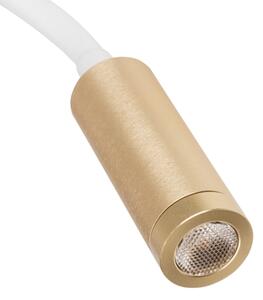 Kanlux 32518 - LED flexibilná lampička TONIL LED/3,3W/230V biela/zlatá