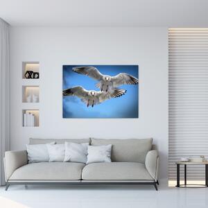 Obraz do bytu - vtáky (Obraz 60x40cm)