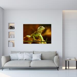 Obraz na stenu - zvieratá (Obraz 60x40cm)