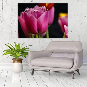 Tulipány - obrazy (Obraz 60x40cm)