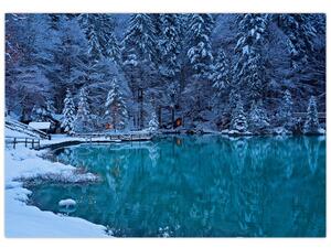 Obraz zimného jazera (Obraz 60x40cm)