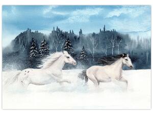 Obraz bežiacich koní (Obraz 60x40cm)
