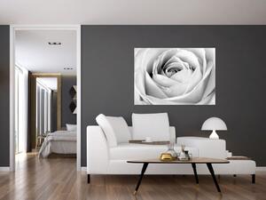 Čiernobiely obraz ruže (Obraz 60x40cm)