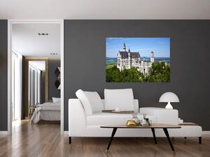 Obraz zámku (Obraz 60x40cm)