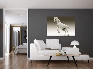 Obrazy bieleho koňa (Obraz 60x40cm)