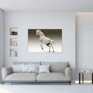 Obrazy bieleho koňa (Obraz 60x40cm)
