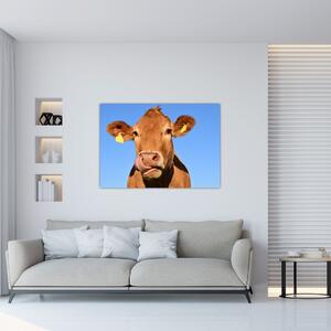 Obraz kravy (Obraz 60x40cm)