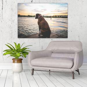 Obraz - sediaci pes (Obraz 60x40cm)