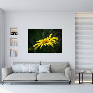 Obraz žltého kvetu (Obraz 60x40cm)