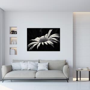 Čiernobiely obraz kvetu (Obraz 60x40cm)