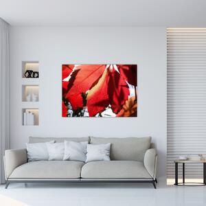 Obraz červených listov (Obraz 60x40cm)