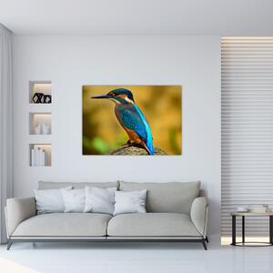 Obraz - farebný vták (Obraz 60x40cm)