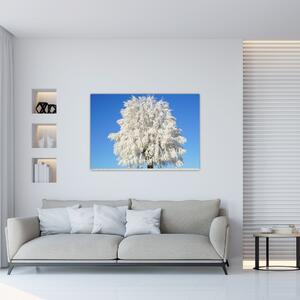 Zasnežený strom - obraz (Obraz 60x40cm)