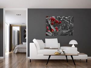 Červené kvety - moderné obrazy (Obraz 60x40cm)