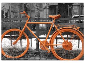 Obraz oranžového kolesá (Obraz 60x40cm)