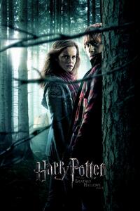 Umelecká tlač Harry Potter a Dary smrti