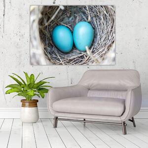 Obraz modrých vajíčok v hniezde (Obraz 60x40cm)