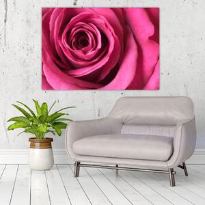 Obraz ružové ruže (Obraz 60x40cm)