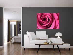 Obraz ružové ruže (Obraz 60x40cm)