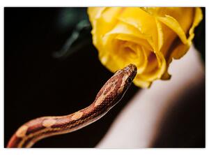 Obraz hada so žltou ružou (Obraz 60x40cm)