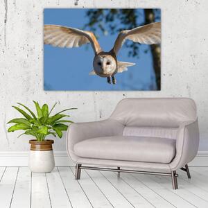 Obraz letiaci sovy (Obraz 60x40cm)