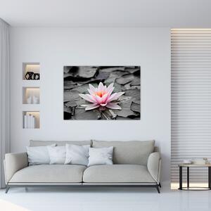 Obraz kvitnúceho lekna (Obraz 60x40cm)