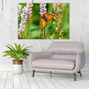 Moderný obraz motýľa na lúke (Obraz 60x40cm)