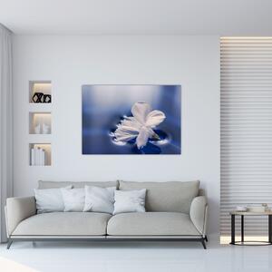 Obraz bieleho kvetu vo vode (Obraz 60x40cm)