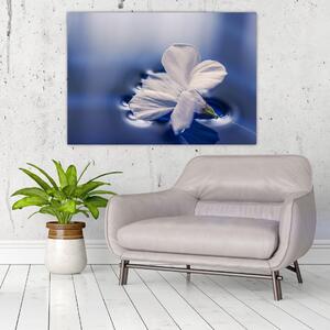 Obraz bieleho kvetu vo vode (Obraz 60x40cm)