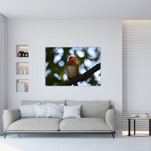 Obraz vtáka na vetve (Obraz 60x40cm)