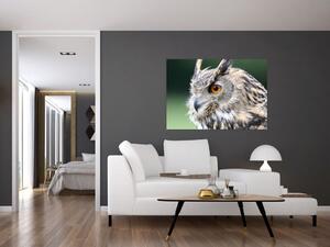 Vyzerajúce sova - obraz (Obraz 60x40cm)