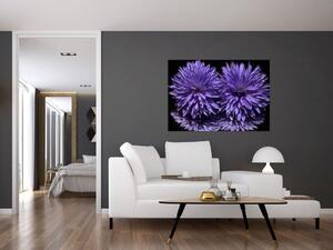 Obraz fialových kvetov (Obraz 60x40cm)