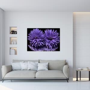 Obraz fialových kvetov (Obraz 60x40cm)