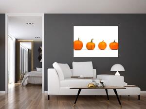 Obraz - oranžové tekvice (Obraz 60x40cm)