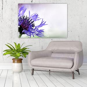 Obraz fialového kvetu (Obraz 60x40cm)